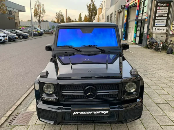 Cameleon Blauw